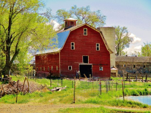 Barn